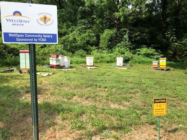 New horticulture therapy program, apiary help WellSpan patients to recover while giving back