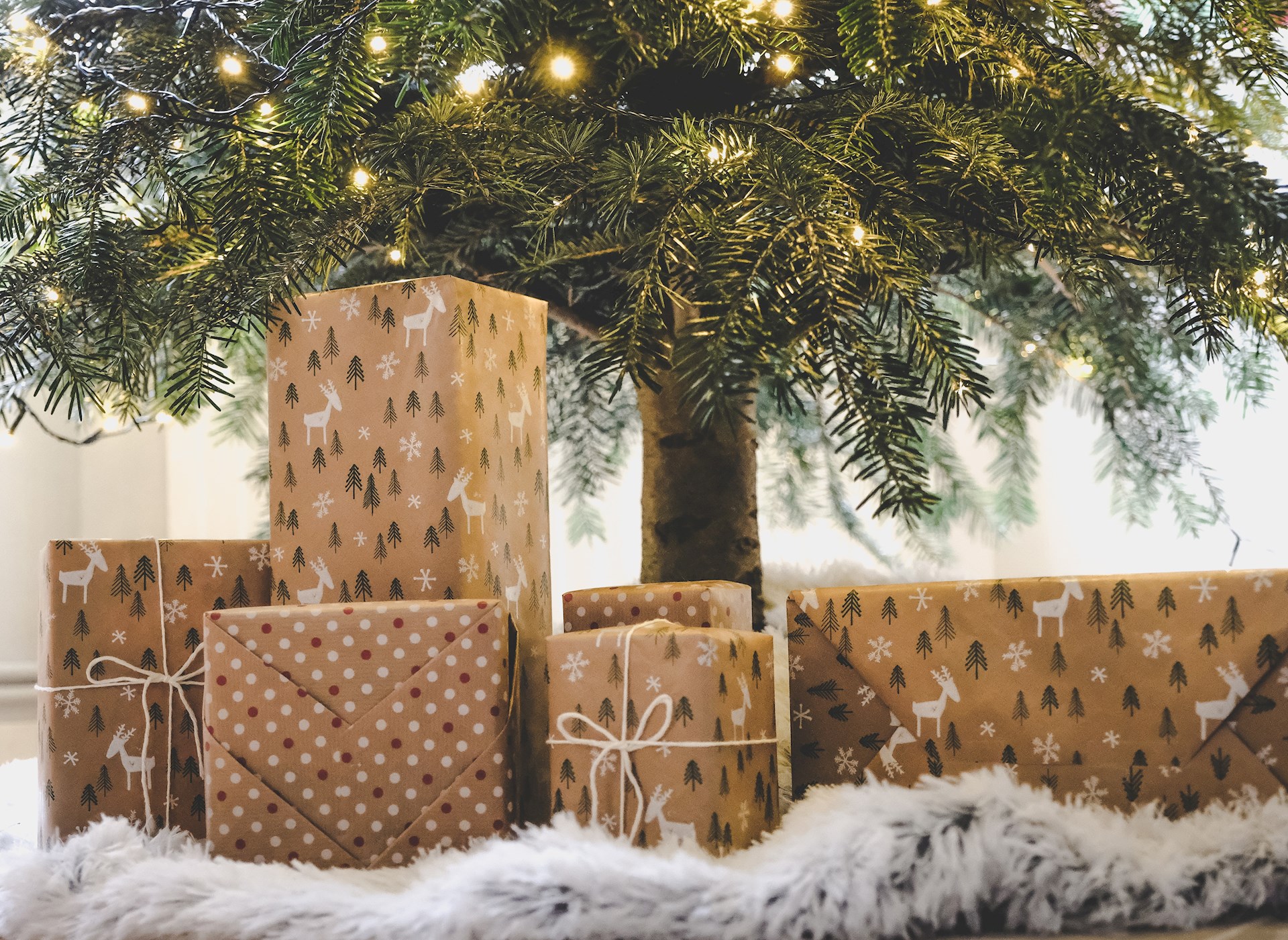 Sneezing Around The Christmas Tree WellSpan Health
