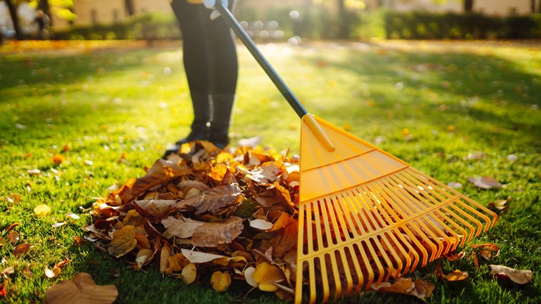 Autumn safety tips for outdoor chores 
